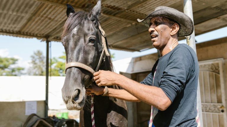 RDNE Stock project/Pexels