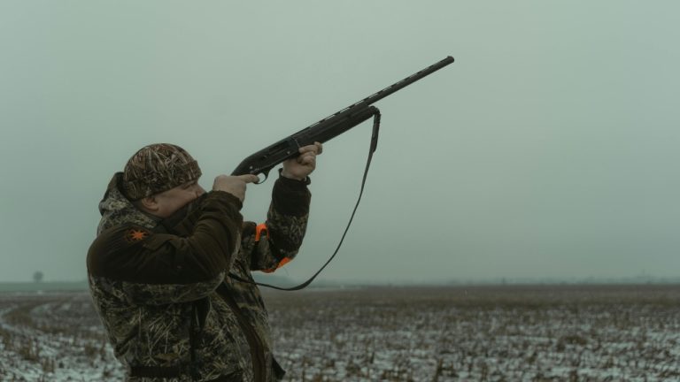 Tima Miroshnichenko/Pexels