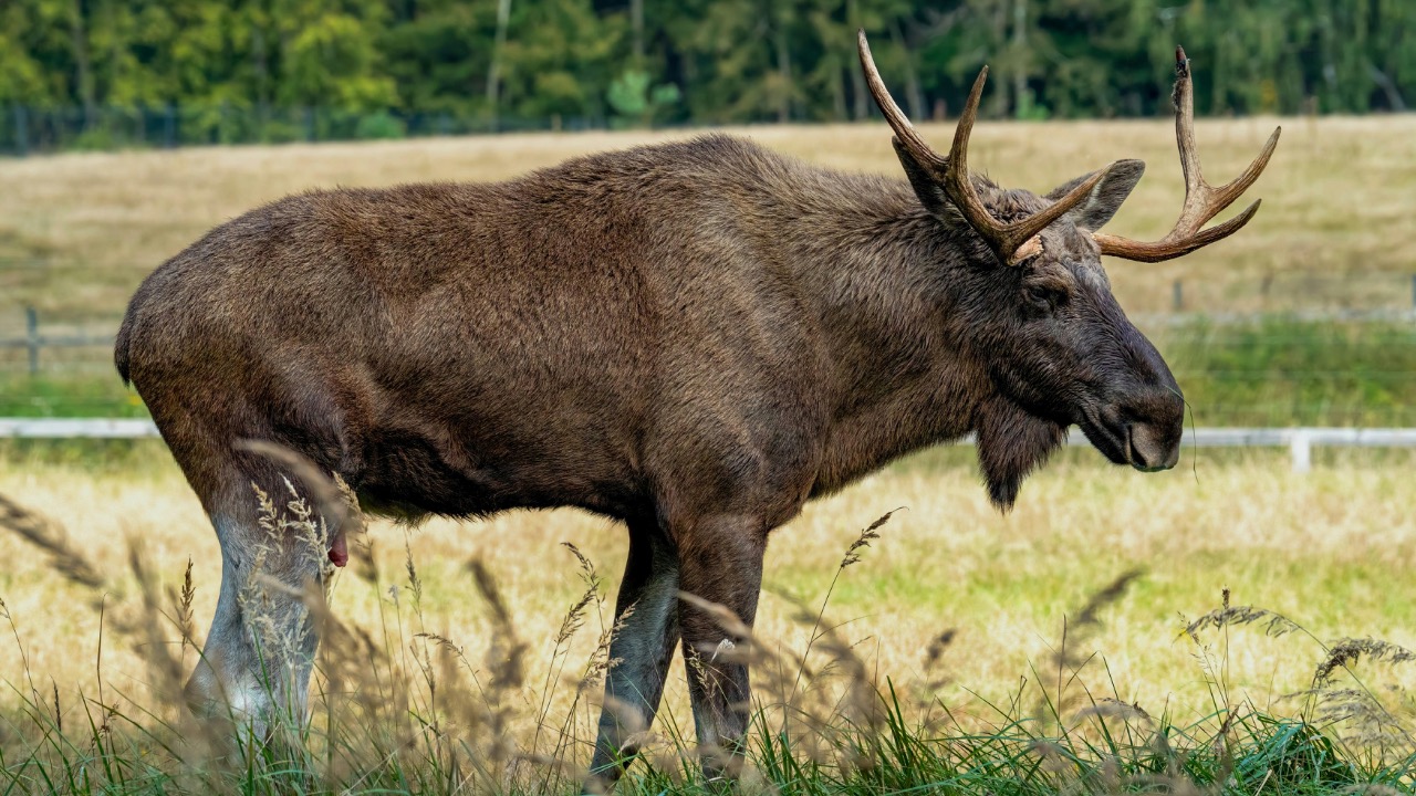 Gundula Vogel/Pexels