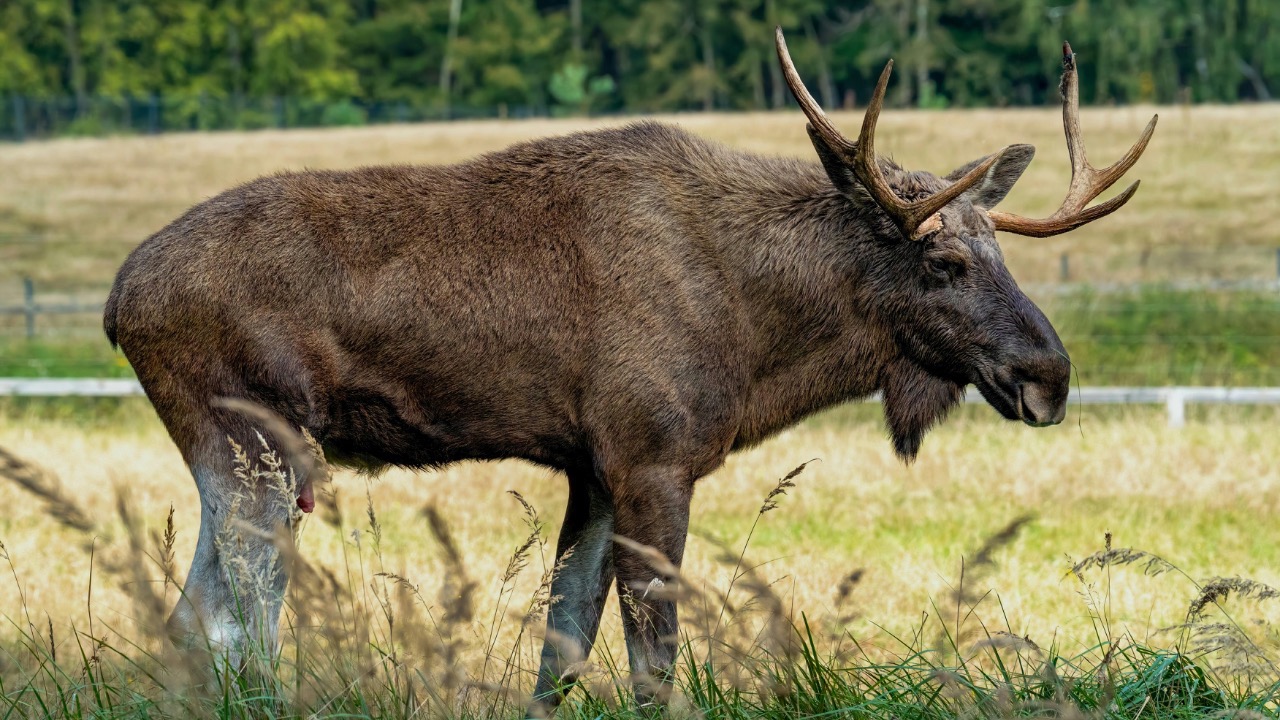 Gundula Vogel/Pexels
