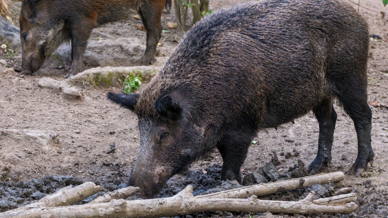 haberdoedas/Unsplash