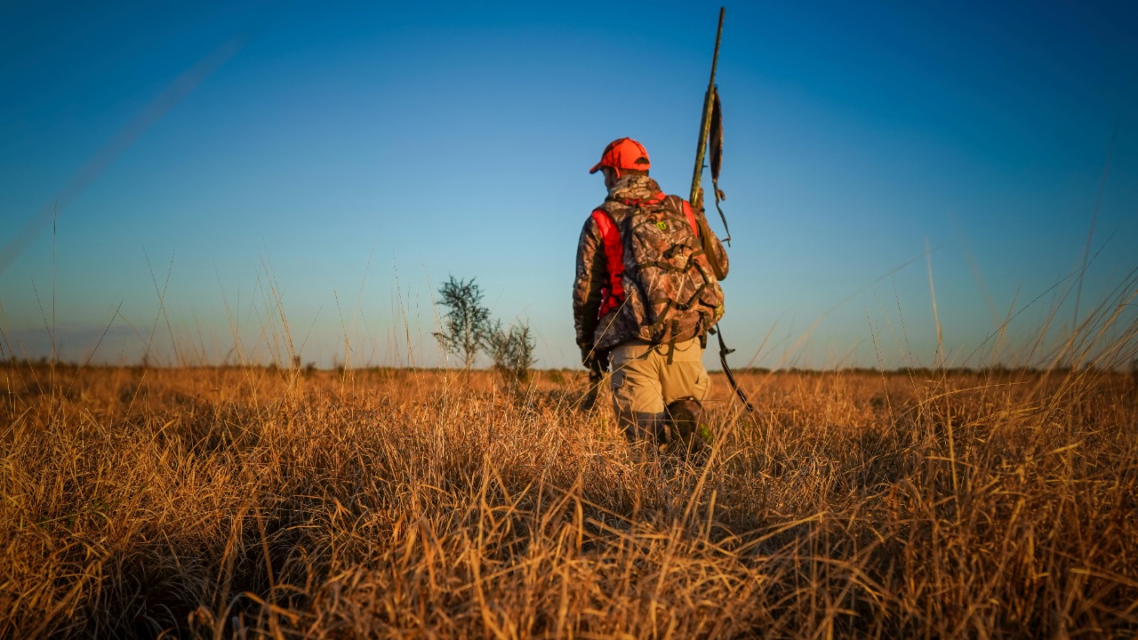 Arian Fernandez/Pexels