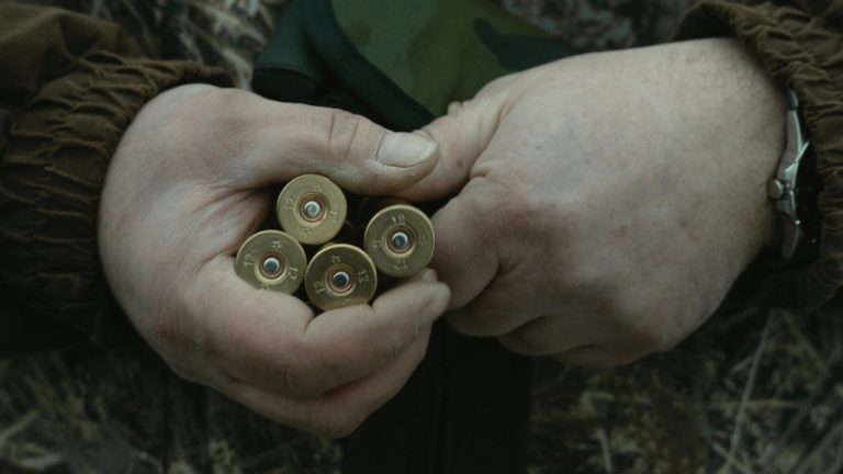 Tima Miroshnichenko/Pexels