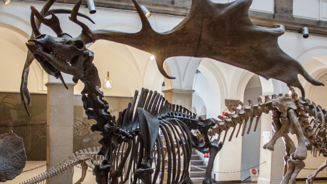 Image Credit: Own work - Public domain/Wiki Commons