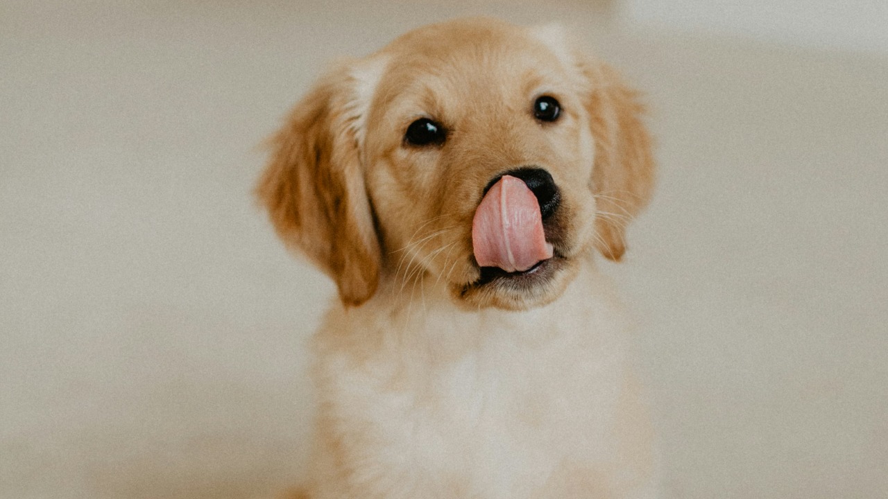 olgaandreyanova/Unsplash