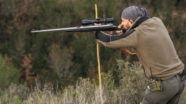 Halfpoint/Shuttersock.com