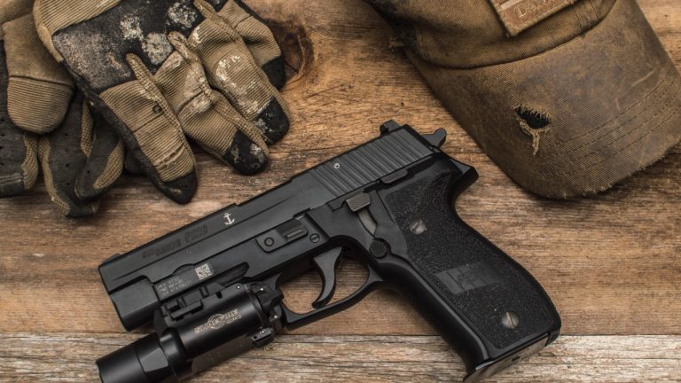 Image Credit: DR8C0 - CC BY-SA 4.0/Wiki Commons