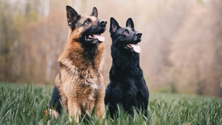 annadudkova/Unsplash