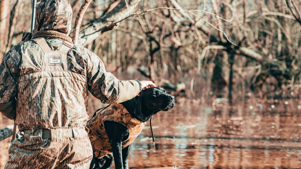 aaronjamesmedia_co/Unsplash