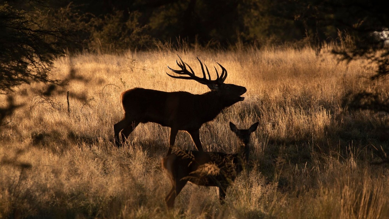 Image by Freepik