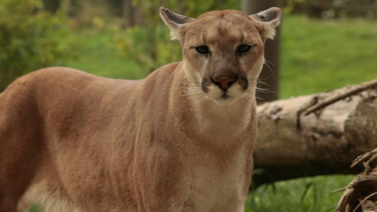 dynsight123/Unsplash