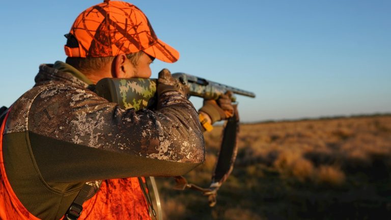 Arian Fernandez/Pexels