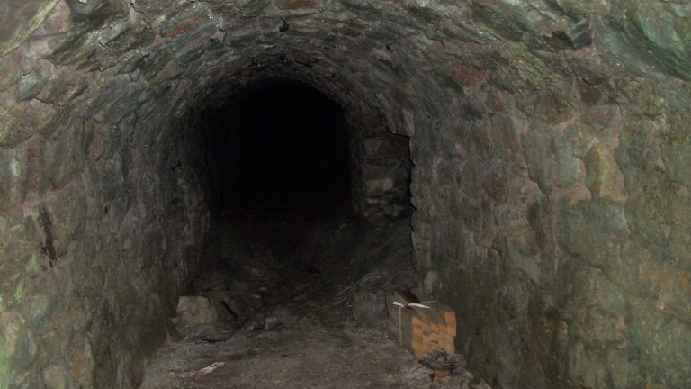 Image Credit: Mr M Evison - CC BY-SA 2.0/Wiki Commons