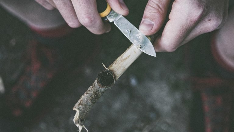 Felix Mittermeier/Pexels