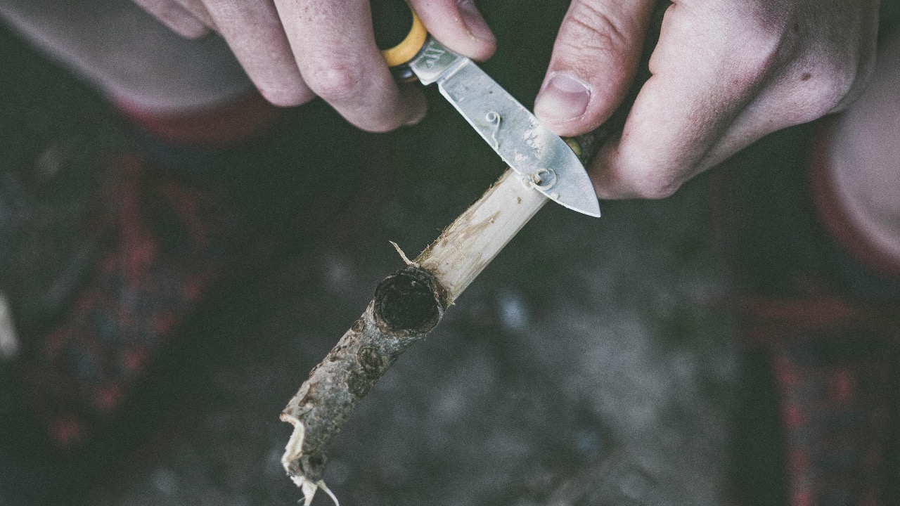 Felix Mittermeier/Pexels