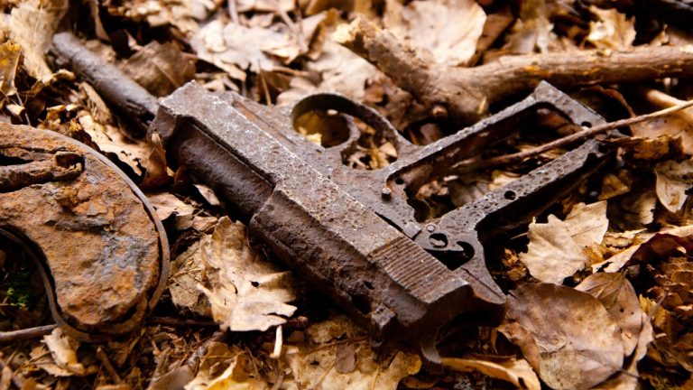 Image Credit: Archangel12 - CC BY 2.0/Wiki Commons