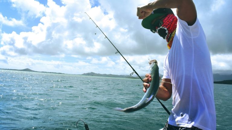 drewfarwell/Unsplash