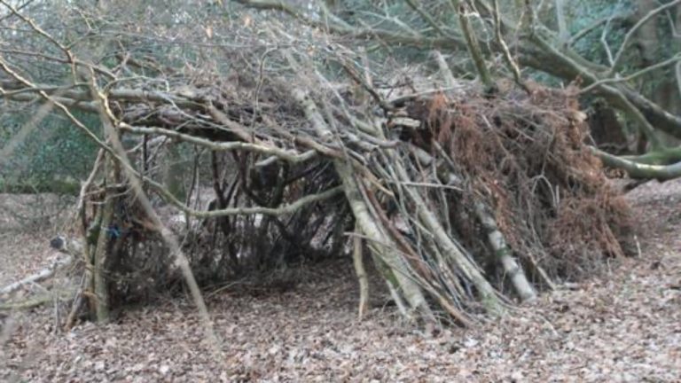 Image Credit: Barry Hunter - CC BY-SA 2.0/Wiki Commons