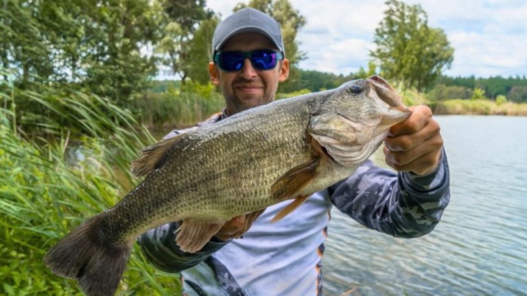 FedBul/Shutterstock.com