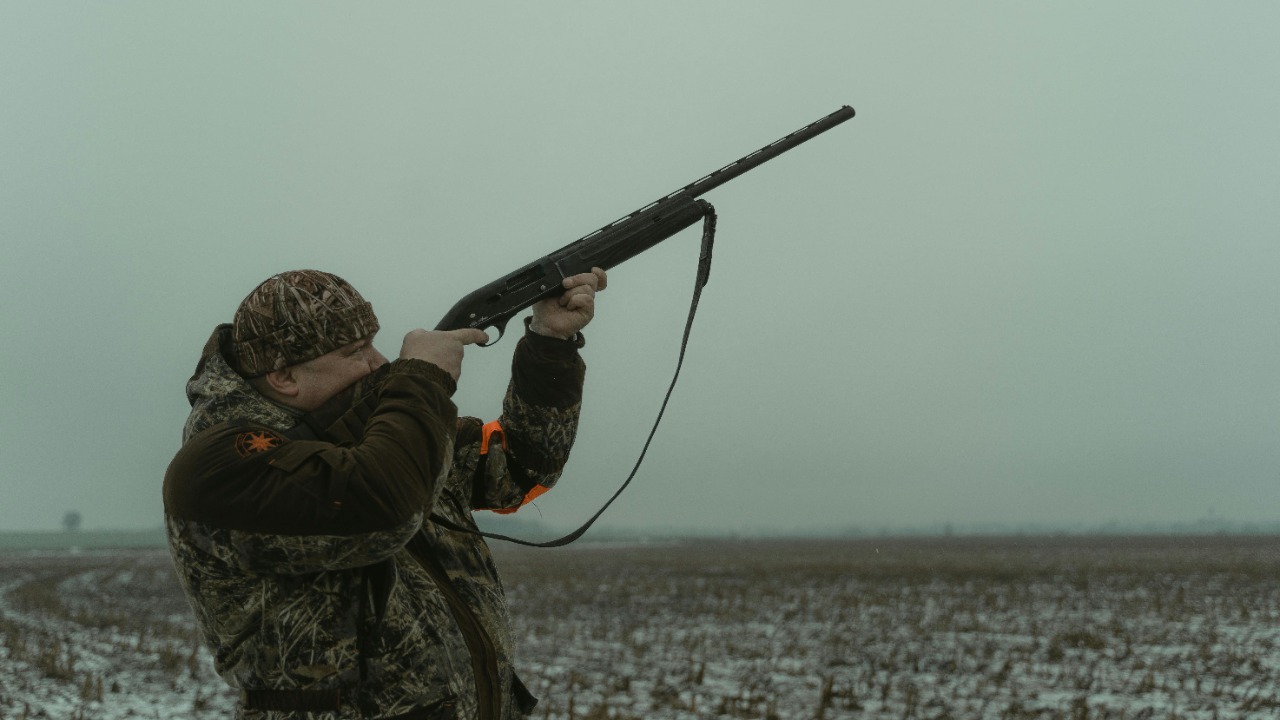 Tima Miroshnichenko/Pexels