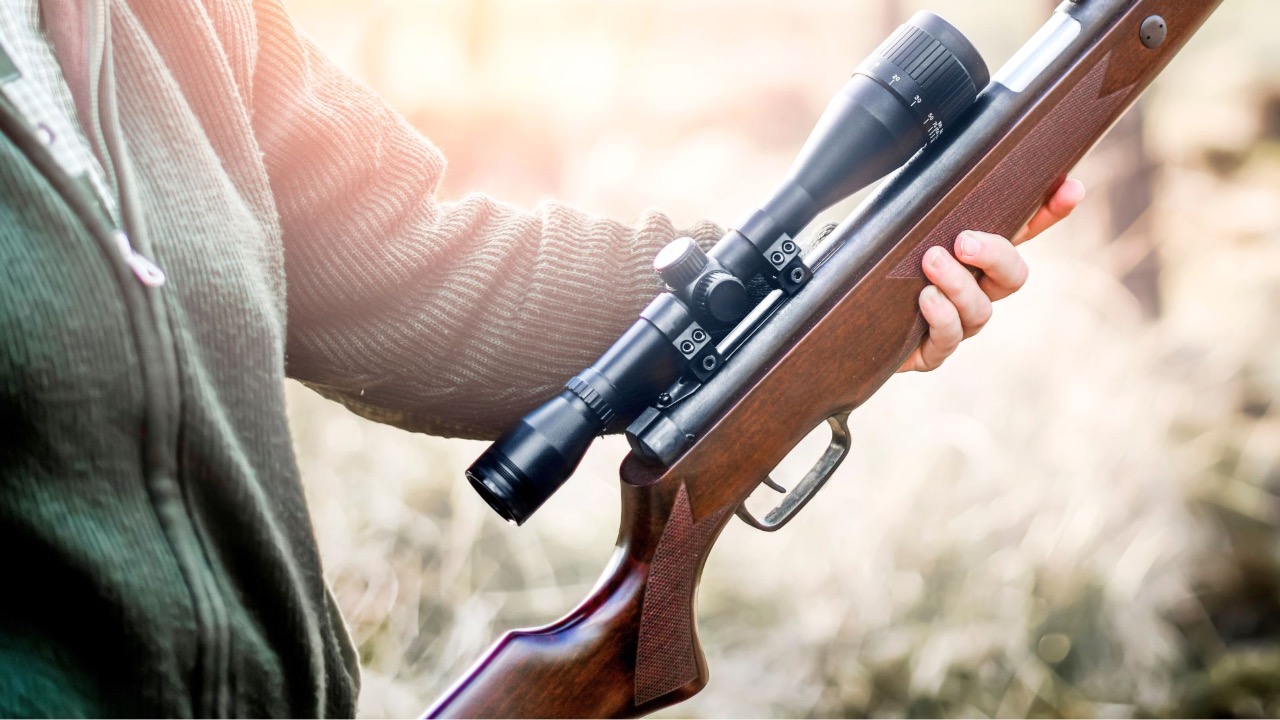 Krasula/Shutterstock.com