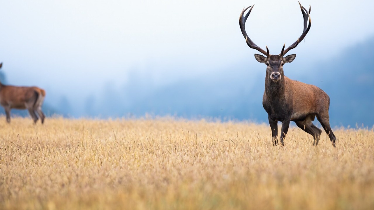 Image by Freepik