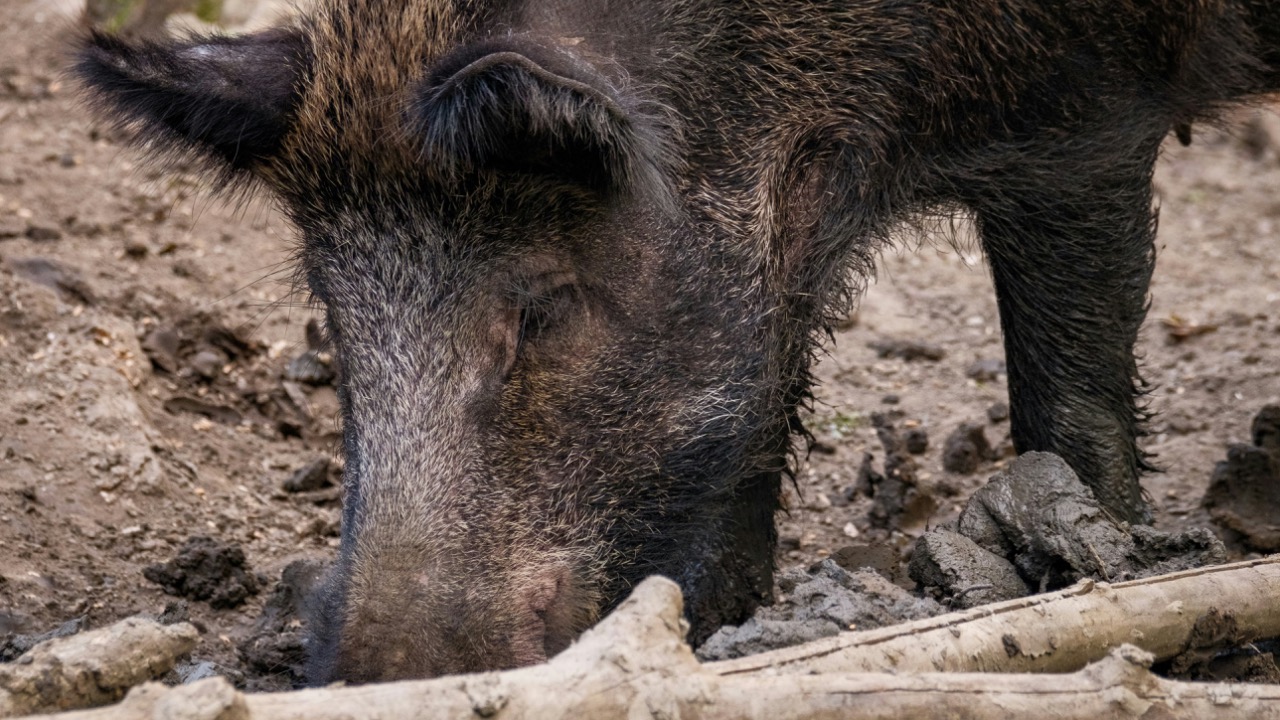 haberdoedas/Unsplash