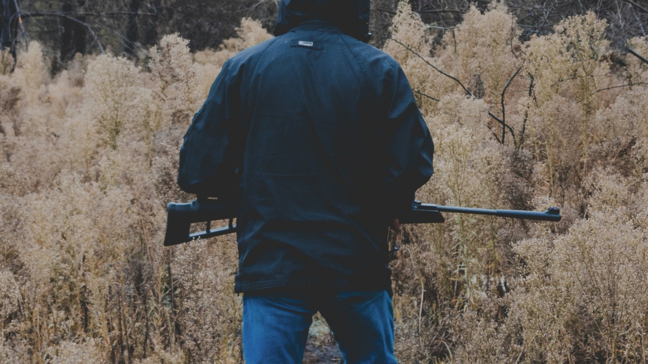 mmpixz/Unsplash