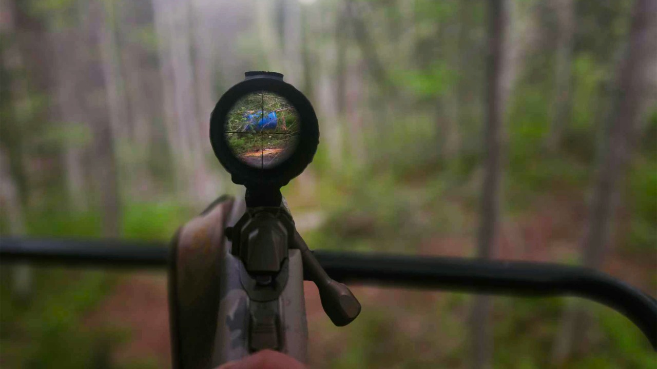 germainegraphiste/Unsplash