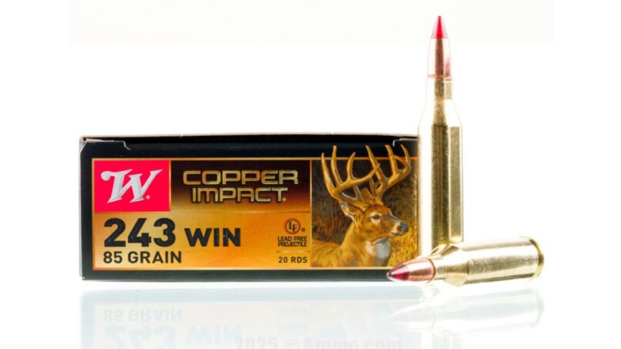 Ammo.com
