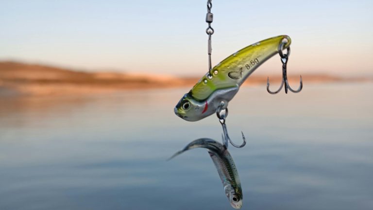 Necmettin Rauf Ceviz/Pexels