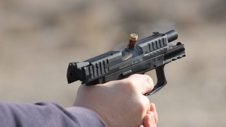 Image Credit: Noah Wulf - CC BY-SA 4.0/Wiki Commons