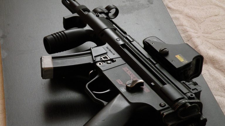 Image Credit: Neevsky - CC BY-SA 4.0/Wiki Commons