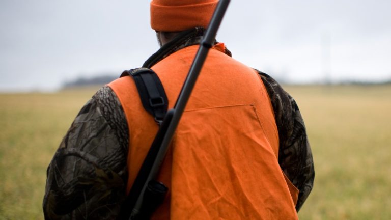 mattmaaskant/Unsplash