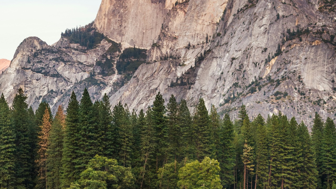 thejoltjoker/Unsplash