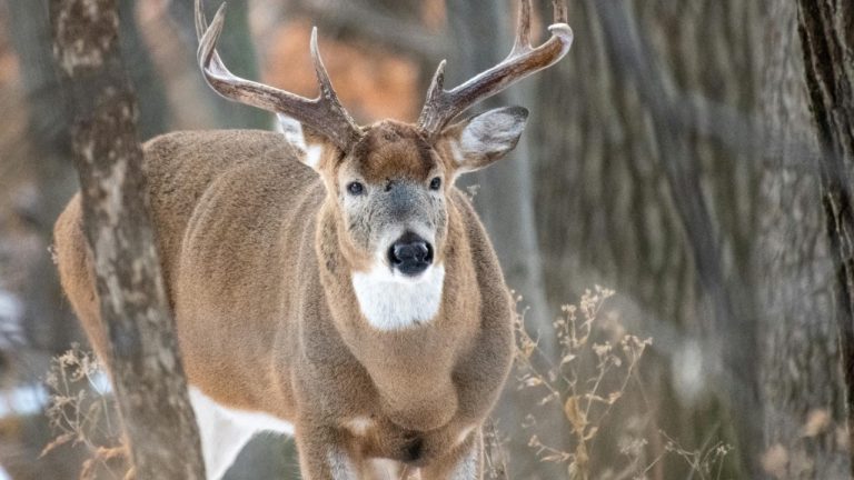 Andrew Patrick Photo/Pexels