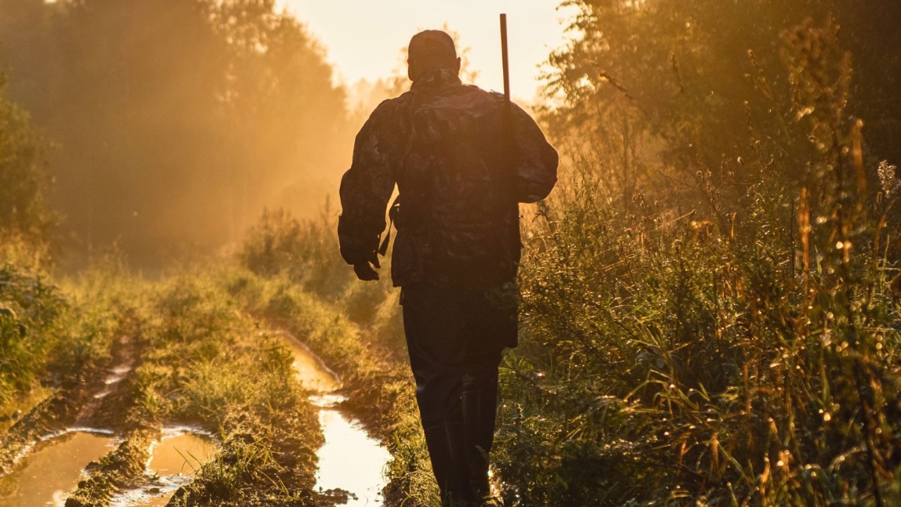 Roman Kosolapov/Shutterstock.com
