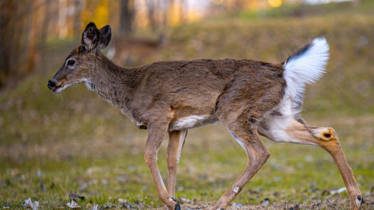 add_rien_20/Unsplash