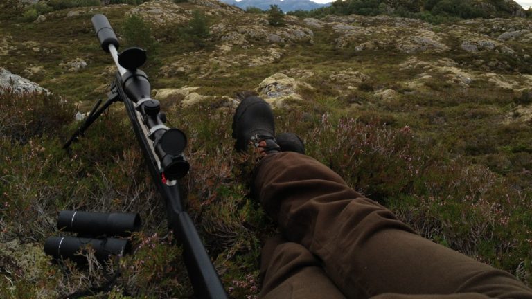 Image Credit: Robert Harley Mostad - CC BY 2.0/Wiki Commons