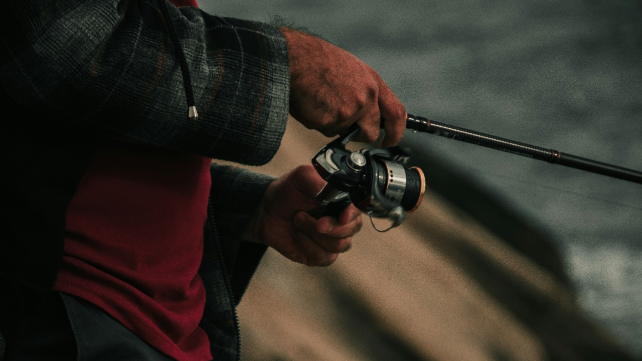 m_joan/Unsplash