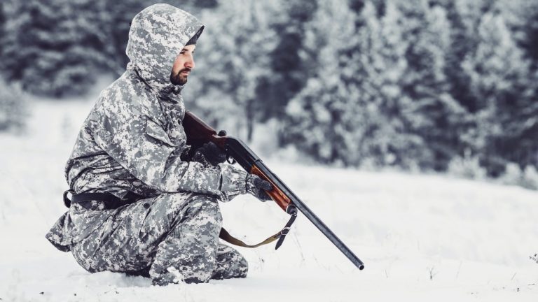 PRESSLAB/Shutterstock.com