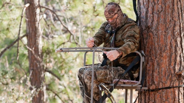 Jeffrey B. Banke/Shutterstock