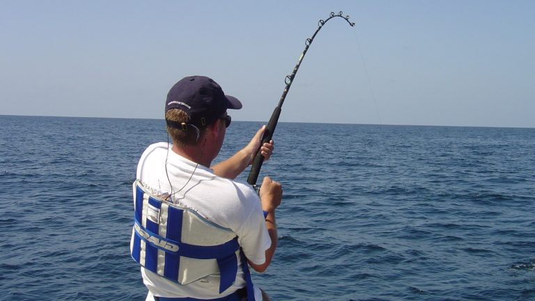 Image Credit: Lsuff - CC BY-SA 3.0/Wiki Commons