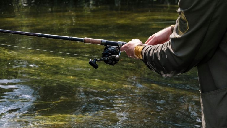 cottonbro studio/Pexels