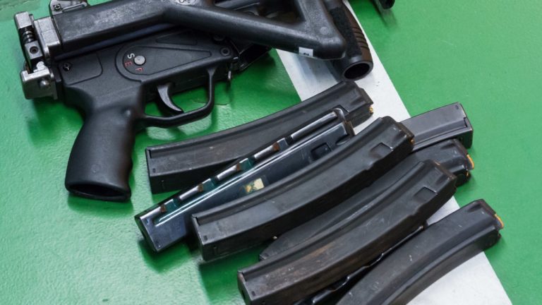 Image Credit: Pierre-Etienne Courtejoie - Public domain/Wiki Commons