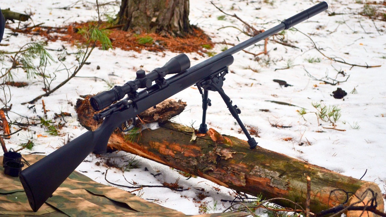 Sergey Kamshylin/Shutterstock.com