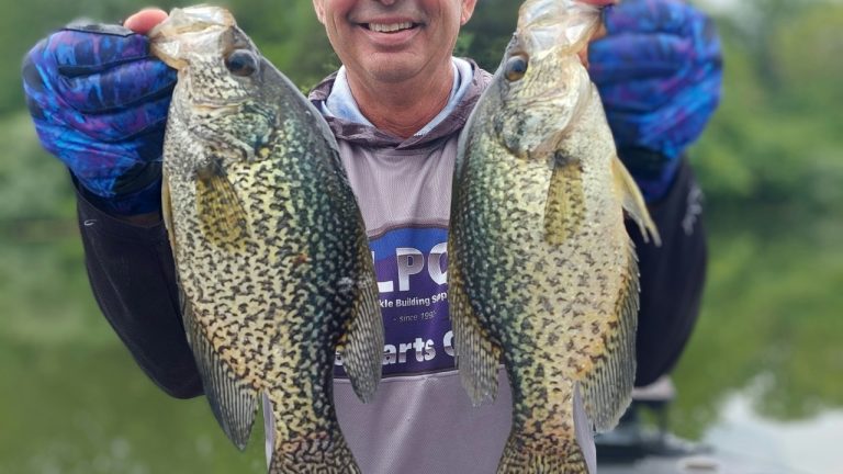 jimcrowleyoutdoors/Unsplash