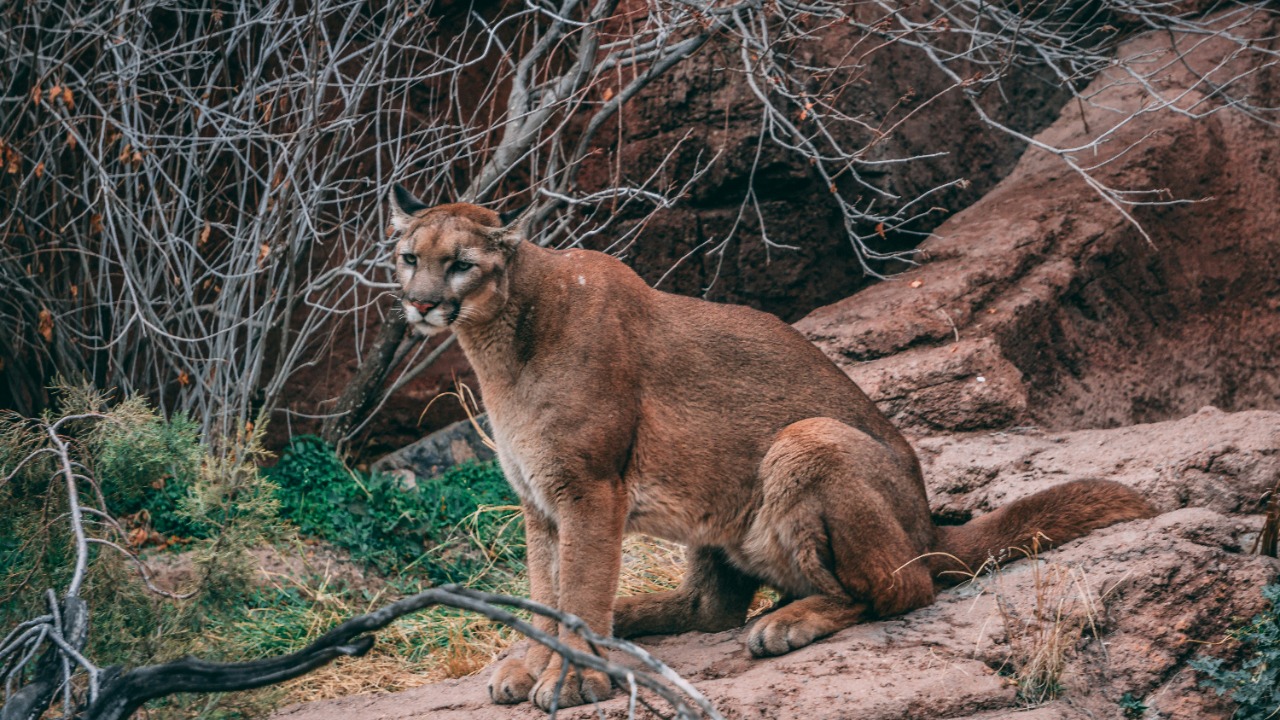 ian_w/Unsplash