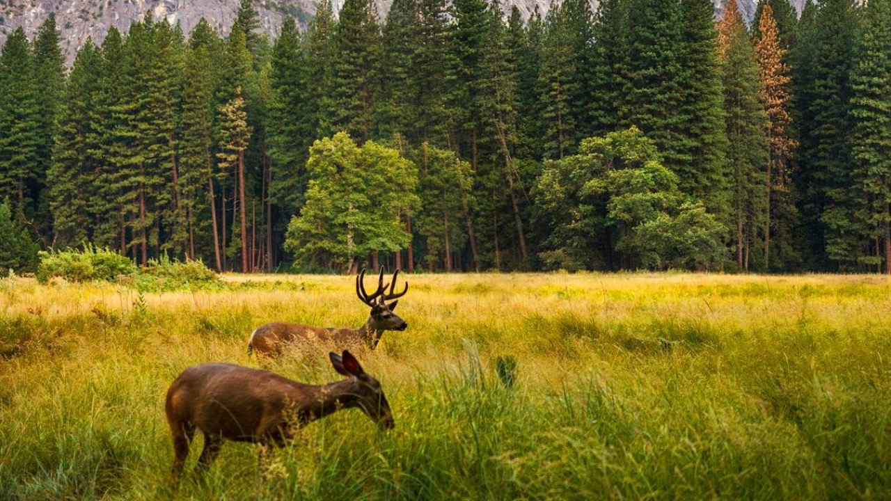 Image by Freepik
