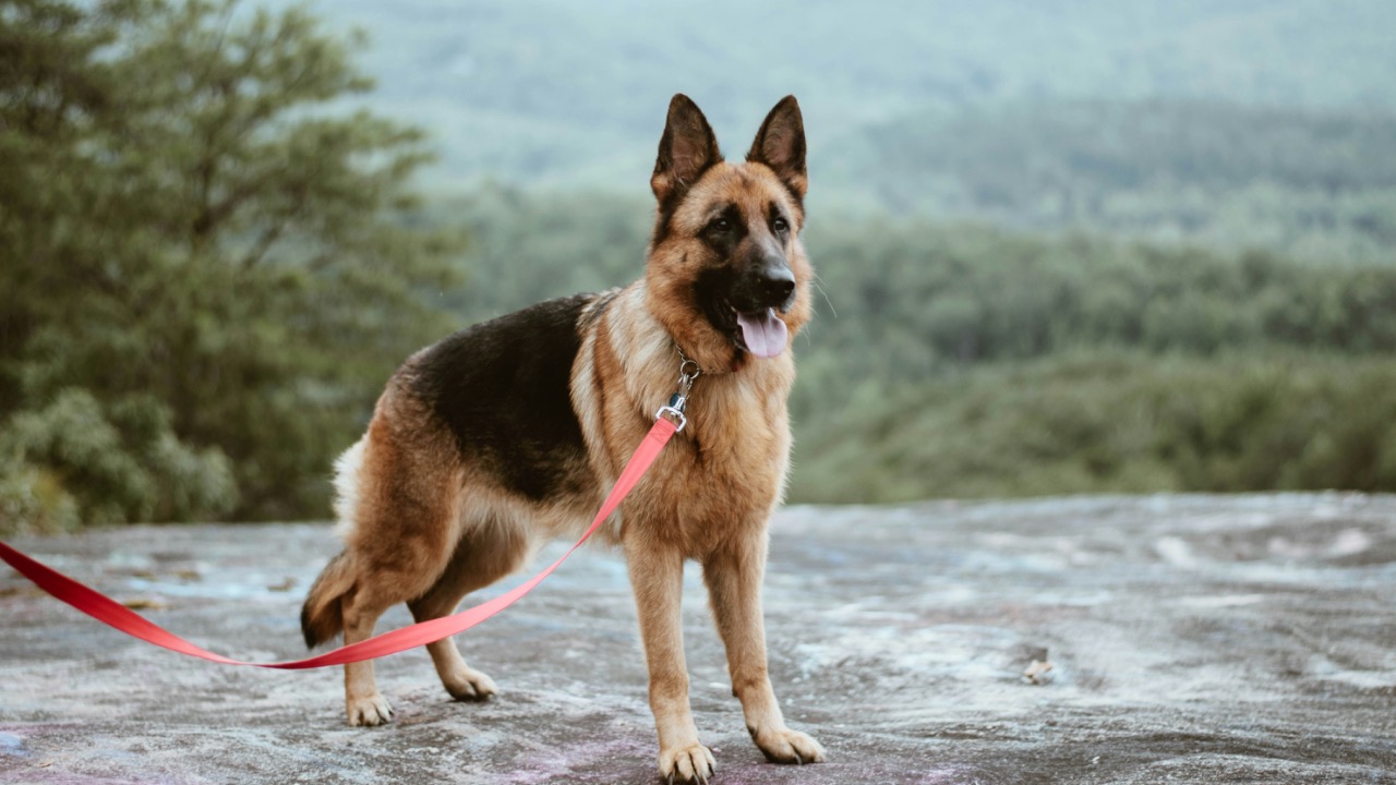 kmac3398/Unsplash